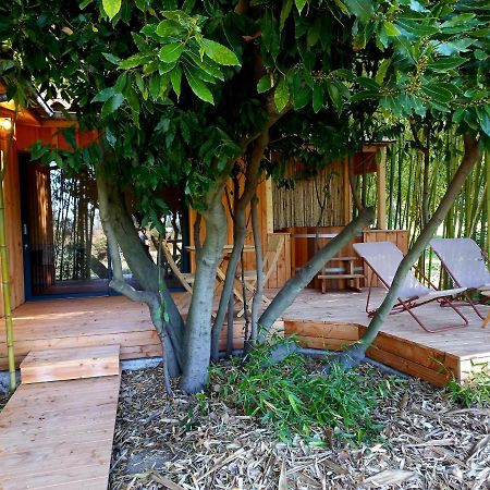 Maisonette Et Spa Bois La Bégude-de-Mazenc Esterno foto